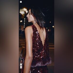 Zara Sequin Top – Size Medium